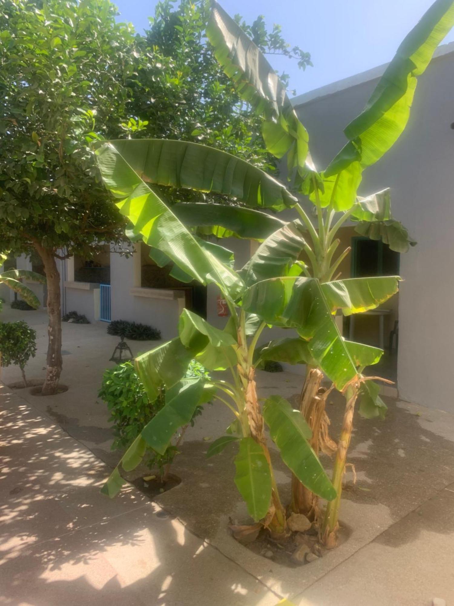 Auberge Keur Ely Ouoran Buitenkant foto