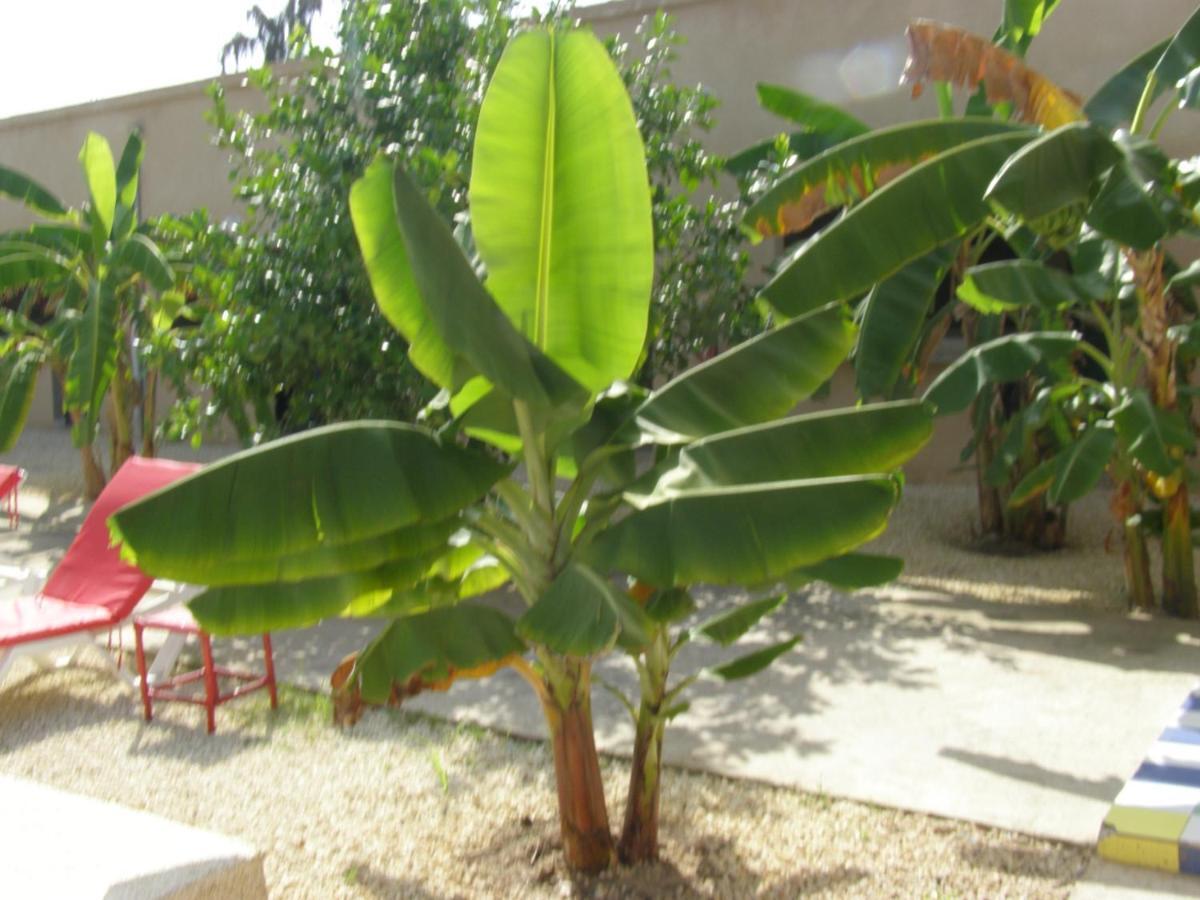 Auberge Keur Ely Ouoran Buitenkant foto